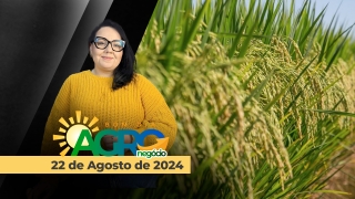 Bom Dia Agro