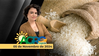 Bom Dia Agro