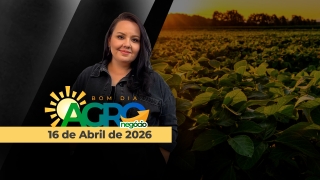 Bom Dia Agro - Com Carla Mendes