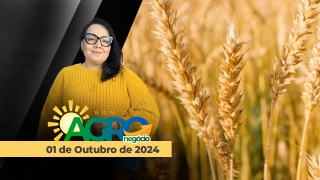 Bom Dia Agro