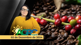 Bom Dia Agro - Com Carla Mendes