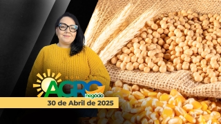 Bom Dia Agro - Com Carla Mendes