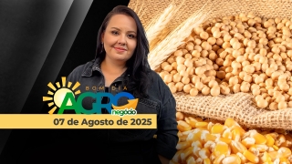 Bom Dia Agro - Com Carla Mendes
