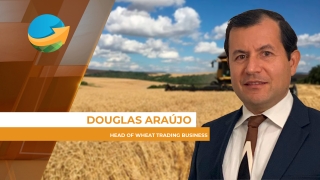 Douglas Araújo - Head of Wheat Trading Business