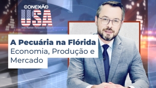 Conexão USA - Marcio Fernandes Hubert
