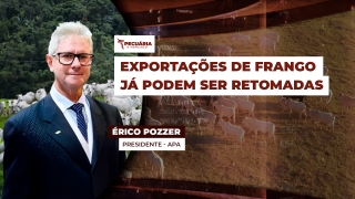 Érico Pozzer - Presidente - APA