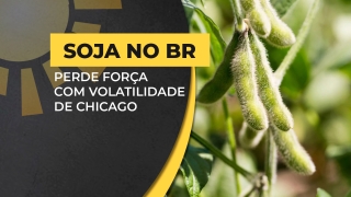 Matheus Pereira