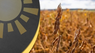 Matheus Pereira - Diretor da Pátria Agronegócios