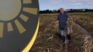 Dr. Franciso Torma - Advogado Agrarista