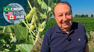 Ginaldo Sousa