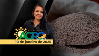 Bom Dia Agro - Com Carla Mendes