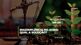 Paolla Alves, advogada da banca @joaodomingosadvogados