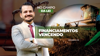 Leandro Marmo - Advogado, CEO do João Domingos Advogados