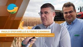 Paulo Stefanello & Fábio Caminha