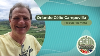 Orlando Campovilla - Produtor de Vinho em Vinhedo/SP