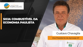 CAPA2_ Gustavo Chavaglia