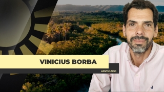 Dr. Vinícius Borba - Advogado