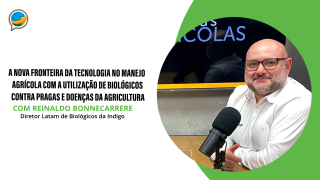Podcast do NA - Com Frederico Olivi