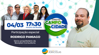Conexão campo cidade