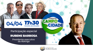 O posicionamento do Brasil no mercado externo com uma nova configuração geopolítica mundial