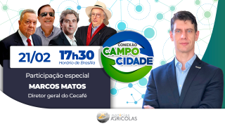 Café brasileiro: qualidade e potencial de alcance internacional