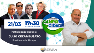 A qualidade do algodão brasileiro no mercado internacional e a busca por espaço dando valor ao produto