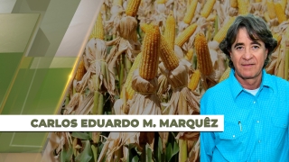 Carlos Eduardo M. Marquêz - Presidente do Sindicato Rural de Caarapó/MS