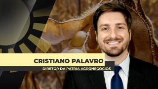 Cristiano Palavro - Diretor da Pátria Agronegócios