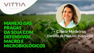 Confira a palestra de Cibele Medeiros