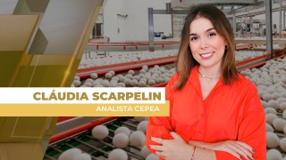 Claudia Scarpelin