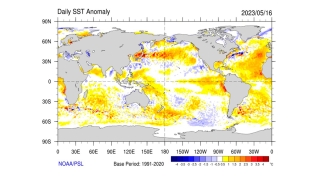 Estael Sias - Meteorologista - Metsul