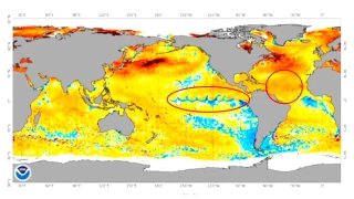 Celso Oliveira - Meteorologista  Sênior  da Safira Energia