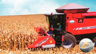 Silvano Felipetto - Pres. Sind. Rural Sorriso/MT