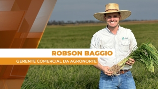 Robson Baggio - Gerente Comercial da Agronorte