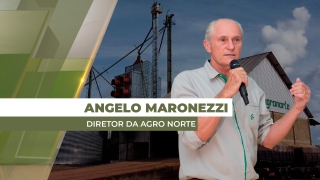 Angelo Carlos Maronezzi - Diretor da Agro Norte Pesquisa e Sementes