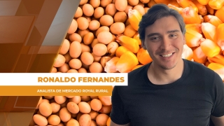 Ronaldo Fernandes - Analista de Mercado Royal Rural