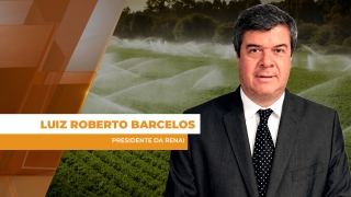 Luiz Roberto Barcelos - Presidente da RENAI