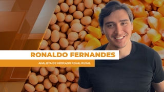 Ronaldo Fernandes - Analista de Mercado Royal Rural