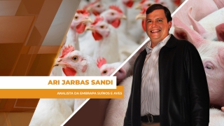 Ari Jarbas Sandi - Analista da Embrapa Suínos e Aves