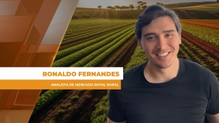 Ronaldo Fernandes - Analista de Mercado Royal Rural
