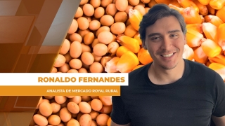 Ronaldo Fernandes - Analista de Mercado Royal Rural