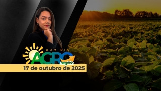 Bom Dia Agro - com Andressa Simão