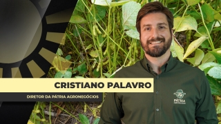 Cristiano Palavro - Diretor da Pátria Agronegócios