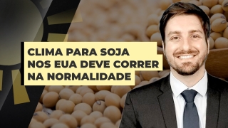 Cristiano Palavro - Diretor da Pátria Agronegócios