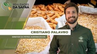 Cristiano Palavro - Diretor da Pátria Agronegócios