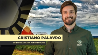 Cristiano Palavro - Diretor da Pátria Agronegócios