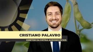 Cristiano Palavro - Diretor da Pátria Agronegócios