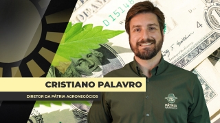 Cristiano Palavro