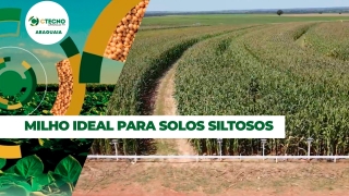 André Somavilla Coord. de Pesquisa - Ctecno Araguaia
