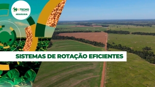 André Somavilla Coord. de Pesquisa - Ctecno Araguaia